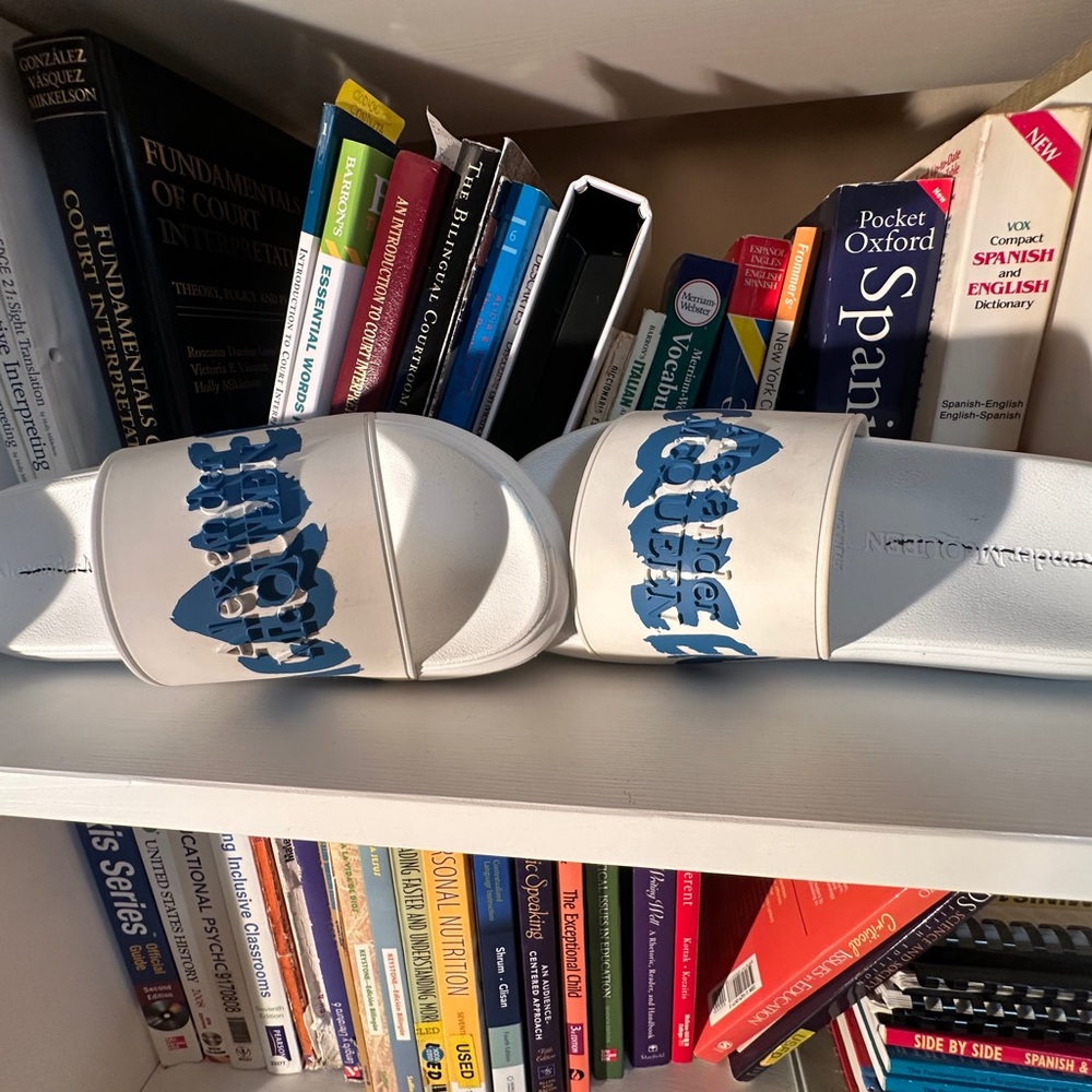 Alexander McQueen White Slides with Blue Graphic